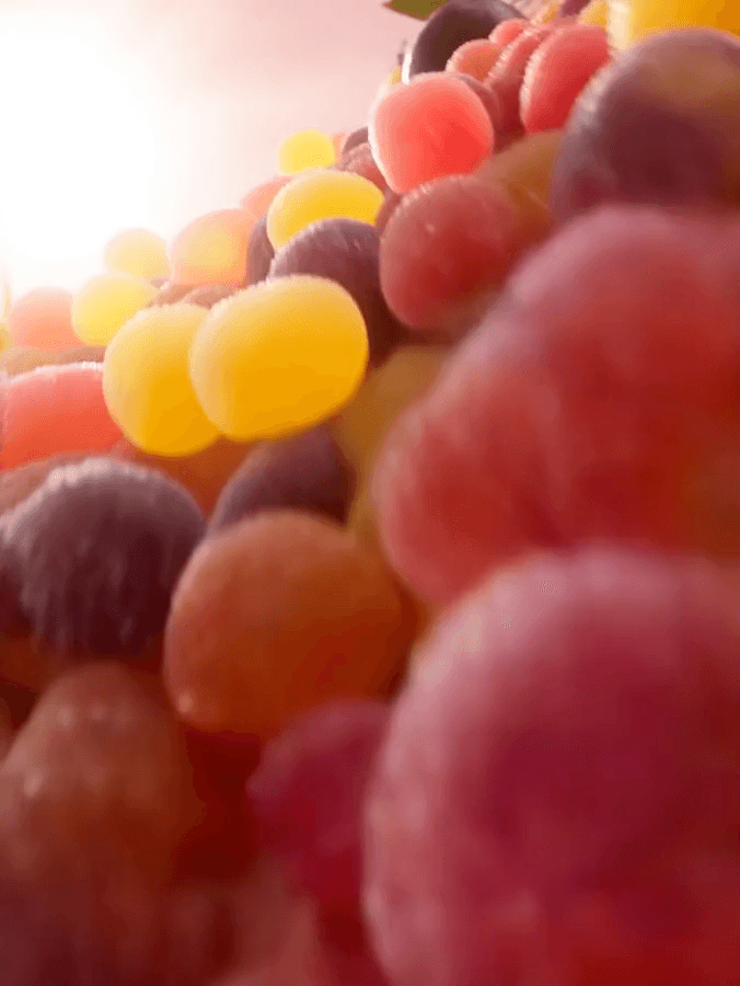Candy Motion Design: Motion Design
